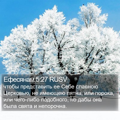 Ефесянам 5:27 RUSV Bible Verse Image