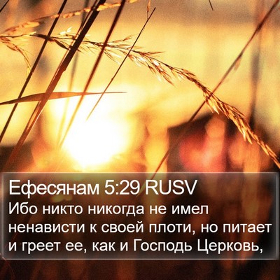 Ефесянам 5:29 RUSV Bible Verse Image
