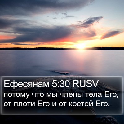 Ефесянам 5:30 RUSV Bible Verse Image