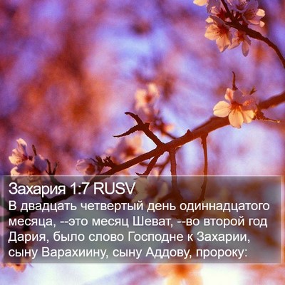 Захария 1:7 RUSV Bible Verse Image