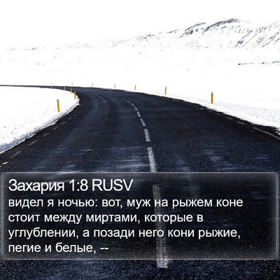Захария 1:8 RUSV Bible Verse Image