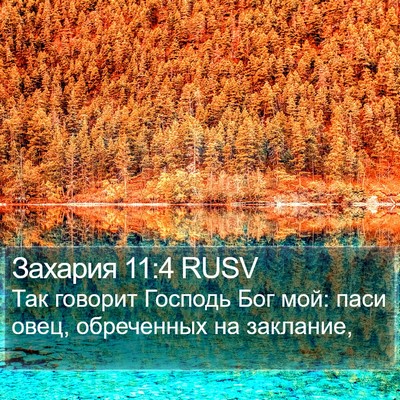 Захария 11:4 RUSV Bible Verse Image