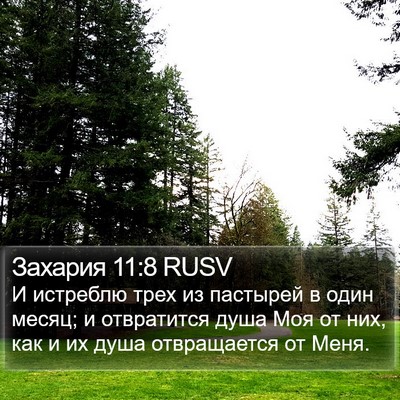 Захария 11:8 RUSV Bible Verse Image