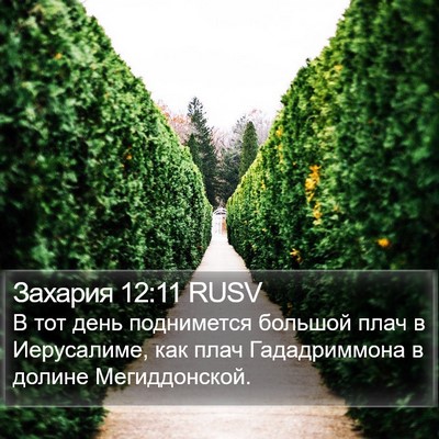 Захария 12:11 RUSV Bible Verse Image