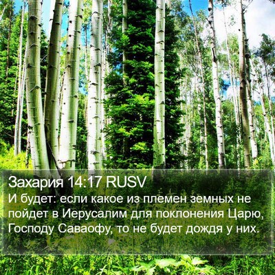 Захария 14:17 RUSV Bible Verse Image