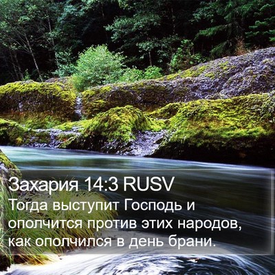 Захария 14:3 RUSV Bible Verse Image