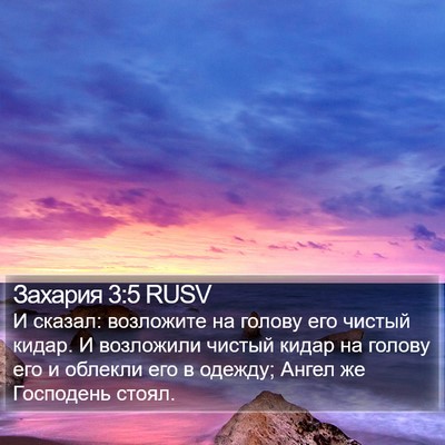 Захария 3:5 RUSV Bible Verse Image