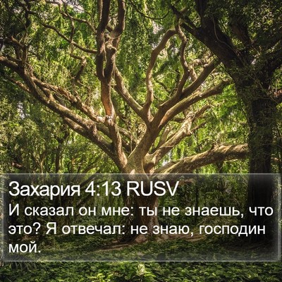 Захария 4:13 RUSV Bible Verse Image