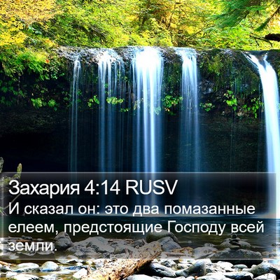 Захария 4:14 RUSV Bible Verse Image