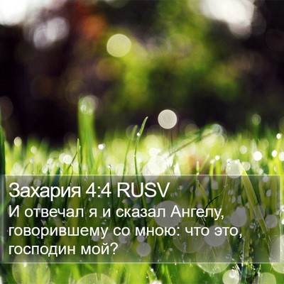 Захария 4:4 RUSV Bible Verse Image