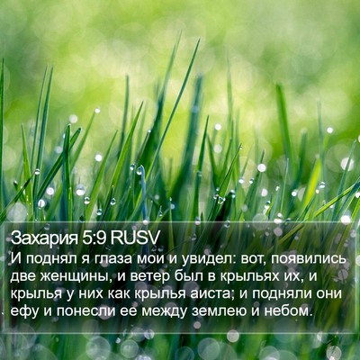Захария 5:9 RUSV Bible Verse Image