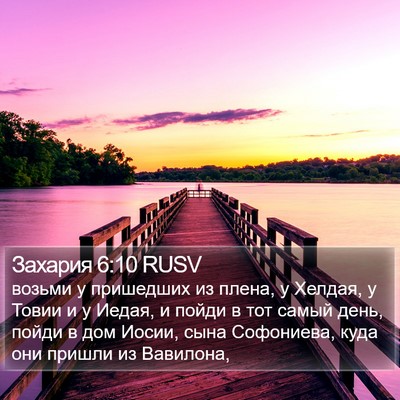 Захария 6:10 RUSV Bible Verse Image