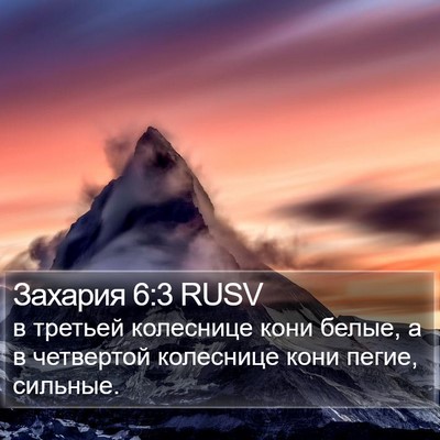Захария 6:3 RUSV Bible Verse Image