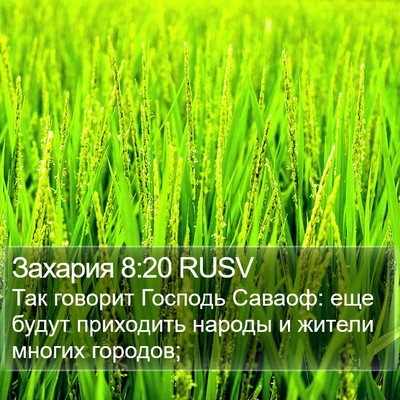 Захария 8:20 RUSV Bible Verse Image