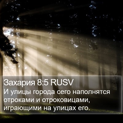 Захария 8:5 RUSV Bible Verse Image