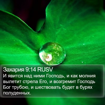 Захария 9:14 RUSV Bible Verse Image