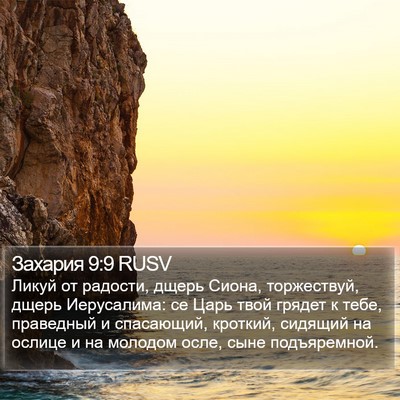 Захария 9:9 RUSV Bible Verse Image