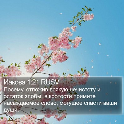 Иакова 1:21 RUSV Bible Verse Image