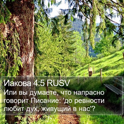 Иакова 4:5 RUSV Bible Verse Image