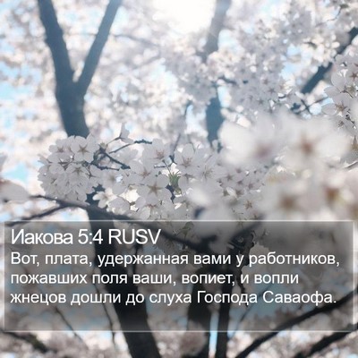 Иакова 5:4 RUSV Bible Verse Image