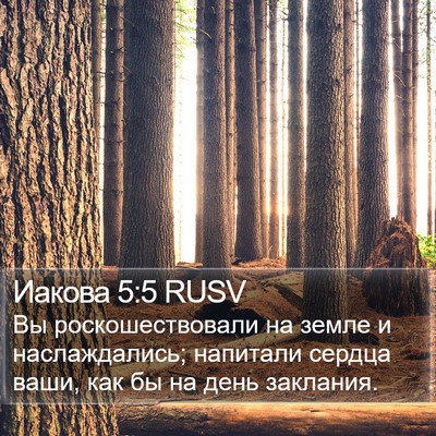 Иакова 5:5 RUSV Bible Verse Image