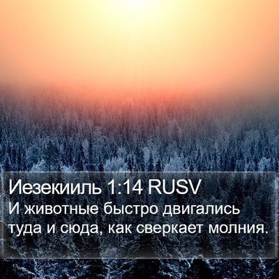 Иезекииль 1:14 RUSV Bible Verse Image
