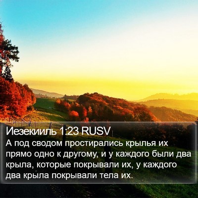 Иезекииль 1:23 RUSV Bible Verse Image