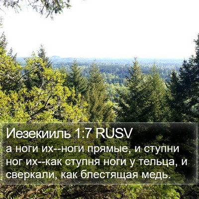 Иезекииль 1:7 RUSV Bible Verse Image