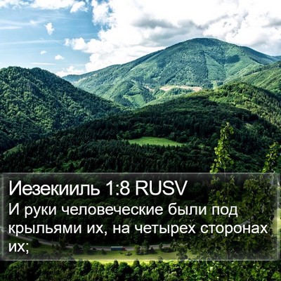 Иезекииль 1:8 RUSV Bible Verse Image