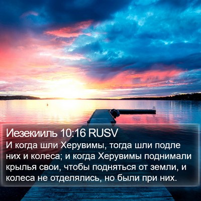 Иезекииль 10:16 RUSV Bible Verse Image
