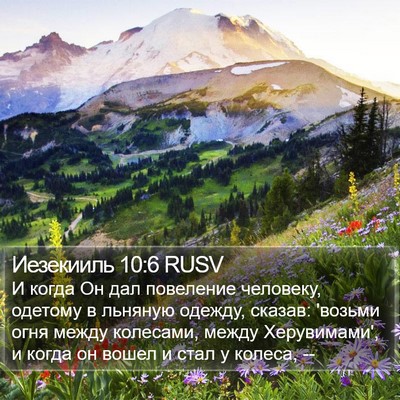 Иезекииль 10:6 RUSV Bible Verse Image