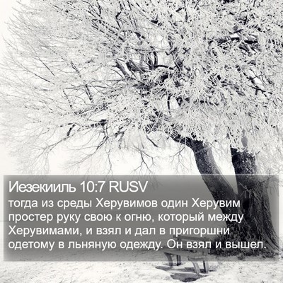 Иезекииль 10:7 RUSV Bible Verse Image