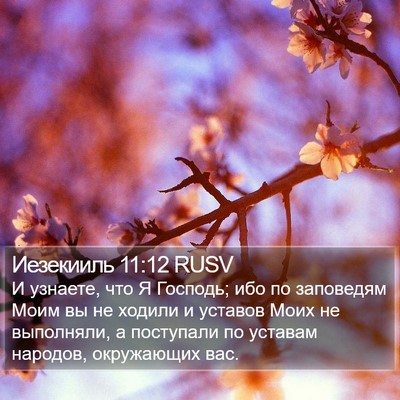 Иезекииль 11:12 RUSV Bible Verse Image