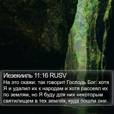Иезекииль 11:16 RUSV Bible Verse Image