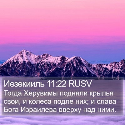 Иезекииль 11:22 RUSV Bible Verse Image