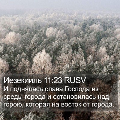 Иезекииль 11:23 RUSV Bible Verse Image