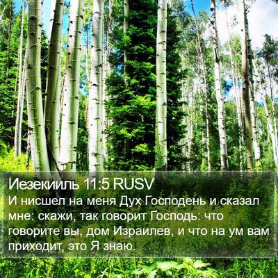 Иезекииль 11:5 RUSV Bible Verse Image