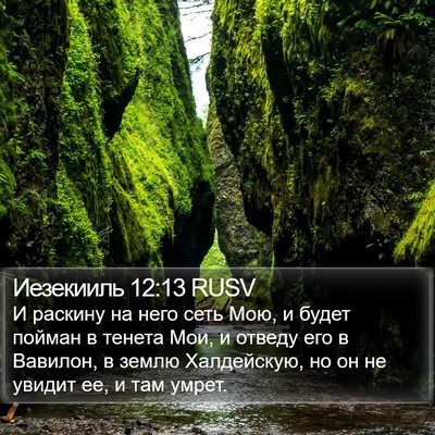 Иезекииль 12:13 RUSV Bible Verse Image