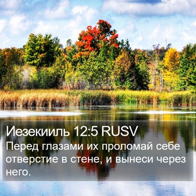 Иезекииль 12:5 RUSV Bible Verse Image