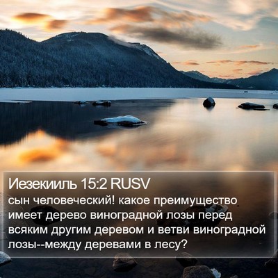 Иезекииль 15:2 RUSV Bible Verse Image