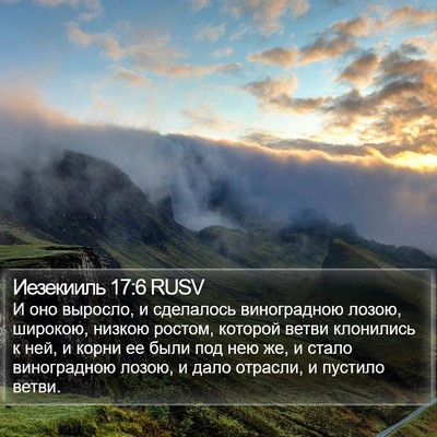 Иезекииль 17:6 RUSV Bible Verse Image