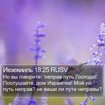 Иезекииль 18:25 RUSV Bible Verse Image