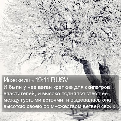 Иезекииль 19:11 RUSV Bible Verse Image
