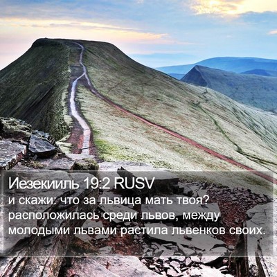 Иезекииль 19:2 RUSV Bible Verse Image