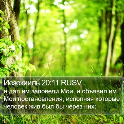 Иезекииль 20:11 RUSV Bible Verse Image