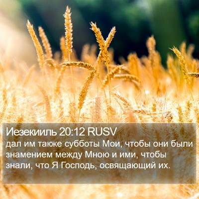 Иезекииль 20:12 RUSV Bible Verse Image