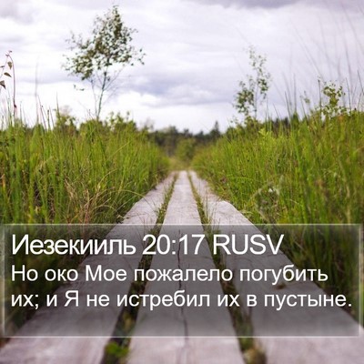 Иезекииль 20:17 RUSV Bible Verse Image