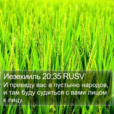 Иезекииль 20:35 RUSV Bible Verse Image