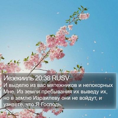 Иезекииль 20:38 RUSV Bible Verse Image