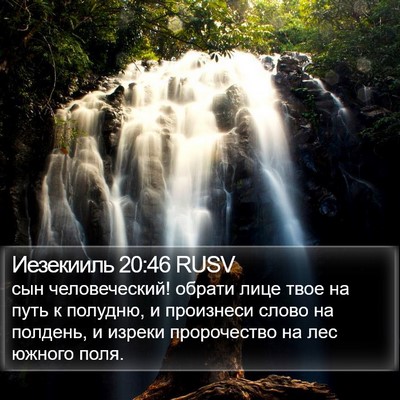 Иезекииль 20:46 RUSV Bible Verse Image